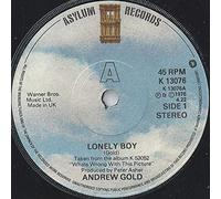 ANDREW GOLD - LONELY BOY 7 INCH (7" VINYL 45) UK ASYLUM 1976