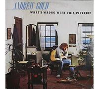 ANDREW GOLD - WHAT'S WRONG WITH THIS PICTURE LP (VINYL) US ASYLUM 1976