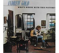 ANDREW GOLD - WHATS WRONG WITH THIS PICTURE VINYL LP ANDREW GOLD