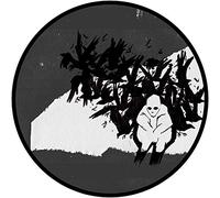 Andrew Jackson Jihad - Can'T Maintain (Pd) [Vinilo]