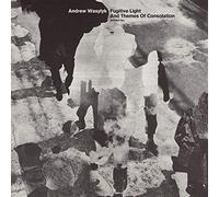 Andrew Wasylyk - Fugitive Light and Themes of Consolation