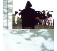 Andrew White - Pray for Rain