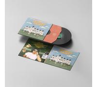 Andy Frasco - Growing Pains [Vinilo]