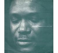 Horace Andy - In the Light [Vinilo]