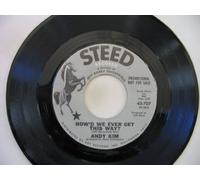 ANDY KIM - are you ever coming home? / how'd we ever get this way? 45 rpm single