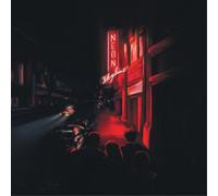 Andy Shauf The Neon Skyline (Vinyl) 12" Album (Gatefold Cover)