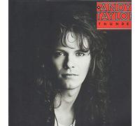 Andy Taylor - Thunder (1987) [VINYL]