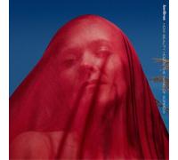 Ane Brun How Beauty Holds the Hand of Sorrow (Vinyl) (Importación USA)