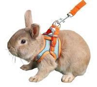 Anelekor Juego de arnés y correa de conejo con tira reflectante, chaleco para gatito, arnés a prueba de escapes, correa de conejo para pasear y mascotas, accesorios para gatos pequeños, XXS, cobayas y