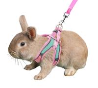 Anelekor Juego de arnés y correa de conejo con tira reflectante, chaleco para gatito, arnés a prueba de escapes, correa de conejo para pasear y mascotas, accesorios para gatos pequeños, XXS, cobayas y