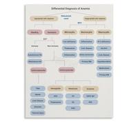 Anemia Types Differential Diagnosis Poster Laboratory Medicine Wall Art Medical School Decor