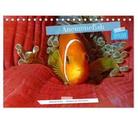Anemonefish - always busy - always on the move (Desk Calendar 2026 DIN A5 landscape), CALVENDO 12 Month DeskCalendar: Clownfish - Always busy - Always in move