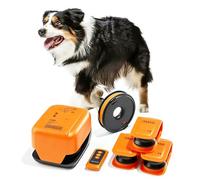 ANGDI Kit de Entrenamiento de Agilidad para Perros, máquina de persecución con Control Remoto, Velocidad Ajustable, Juguetes motorizados para Perros, Juguete Interactivo de enriquecimiento