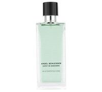 ANGEL SCHLESSER ESPRIT DE GINGEMBRE POUR HOMME 100 ML NUEVA DIFICIL CONSEGUIR