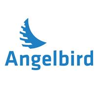 ANGELBIRD CF AV Pro 256GB Pack 2 Unidades