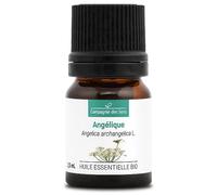 Angélica (Angelica archangelica) BIO - 2,5 ml - Aceite Esencial 100 % Puro y Natural - Quimiotipado e Integral