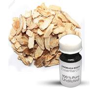 Angelica Root Essential Oil / 100% Pure Angelica Root Undiluted Essential Oil Premium Quality (240 ML, NATURAL)