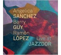 Angelica Sanchez, Barry Guy & Ramon Lopez - Live at Jazzdor