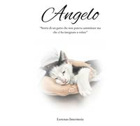 Angelo: "Storia di un gatto che non poteva camminare ma che ci ha insegnato a volare"