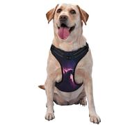 Angels In The Polar Night - Arnés para perros pequeños, medianos y grandes, correas reflectantes, ajuste ajustable con hebillas de liberación rápida