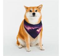Angels In The Polar Night - Bandanas para perros pequeños, medianos y grandes, suaves y cómodas para niños y niñas, ideal para mascotas