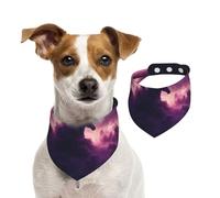 Angels In The Polar Night Dog Bandanas, suaves, cómodas, ajuste ajustable para niños y niñas, tres tamaños para gatos y perros