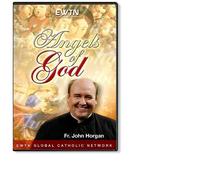 ANGELS OF GOD W/ FR.JOHN HORGAN "Angels are spiritual creatures who glorify God without ceasing and serve his saving plans for other creatures..Catechism of the Catholic Church"* AN EWTN 4-DISC DVD