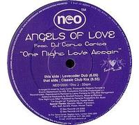 Angels of Love - One Night Love Affair [Vinilo]