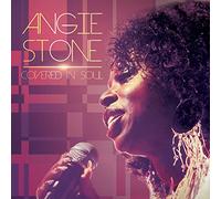 Angie stone - Covered in soul [Vinilo]