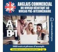 Anglais Commercial A1-b1 (audiolibro)
