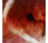 Angles & Elle-Kari With Strings - The Death of Kalypso