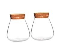 Angoily 2 Frascos de Vidrio Transparente Tapón de Corcho Botellas Ecológicas para Micropaisajes Macetas Nutritivas para Plantas Hidropónicas y Decoración de Terrarios Tamaño Pequeño