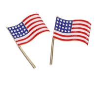 Angoily 2 Piezas Pin de Estrella de Aleación Diseño Único Día Independencia, Cómodo de Llevar y Fácil de Combinar en Desfiles y Uso Diario