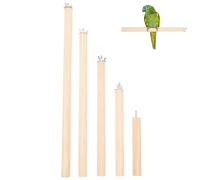 Angoily 5 unids Parrot Standing Pole Birds Standing Stick Bird Stands African Grey Climbing Perch Bird Grip Branch Bird Wood Chew Toy Parrot Perch Parrot Stand Perch Balance Wooden Xuan Feng