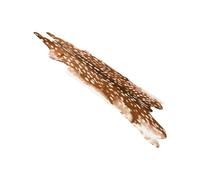 Angoily Alfombra de Suelo Antideslizante de Felpa Imitación Piel de Ciervo Sika Tamaño 78X108 CM Peso 350 G Adecuado para Decoración y Protección Interiores y Exteriores