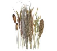 Angoily Manojo de Flores Secas de Escoba y Junco, Decoración Rústica para Jarrones y Hogar, Adornos de Hierba de Pampa Artificial para Sala, Boda y Mesa de Comedor, Accesorios Naturales