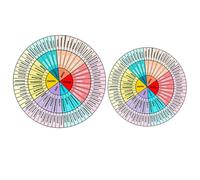 Angoily Pegatinas para Rueda de Emociones de Material PVC, 2 Hojas Portátiles y Colorfast, Ideales para Portátil y Maleta, Reutilizables y Decorativas