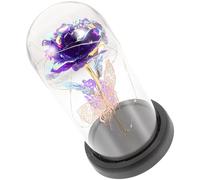 Angoily Rosa Eterna con Luz LED Cúpula de Cristal Flor Preservada con Dorada Decoración Romántica para San Valentín Aniversario y Cumpleaños Adorno Inmortal Color Púrpura