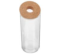 Angoily Terrario Hidropónico para Plantas Botella Ecológica de Vidrio, Macetero Ligero y Resistente Adecuado para Balcón o Sala de Estar