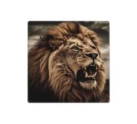 Angry Lion - Placa de pared decorativa para interruptor de luz, 2 tomas de corriente, placa de interruptor eléctrico, cubierta de placa frontal termoplástica para dispositivo decorativo, tornillos