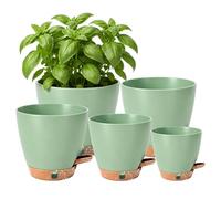 Anhow Macetas Autorriego Juego de 5, Ø 12.5/14/15.2/16.5/17.8 cm Macetero de Auto-riego Macetas Plastico con Agujeros de Drenaje Maceteros Decorativos Interior para la Cocina, Plantas de Jardín, Verde
