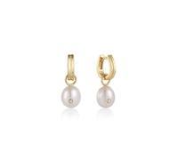 ANIA HAIE Pendientes Earrings Pearl Power E043-04G mid-38532 Marca