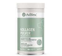 AniForte colágeno en Polvo para Las articulaciones del Perro 450g - colágeno de Pescado Ayuda a Las articulaciones, tendones y ligamentos, Producto Natural para la función Articular y la Agilidad