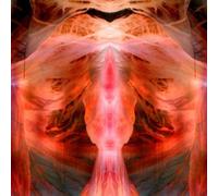 Anihilating Angel/Or Surface of The World