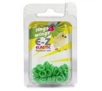 Anillas elásticas para periquitos y agapornis - Color: Verde