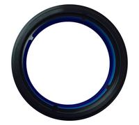 Anillo Adaptador Lee Filters De 100 Mm Compatible Con Olympus De 7-14 Mm - Lfhcaro714