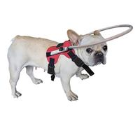 Anillo Anti colisión: Mascota de Perro Ciego, Chaleco Protector con Ayuda de liderazgo | Helo de Perro Ciego para apoyar a Las Mascotas con discapacidad Visual, navegar Segura y Construir Confianza