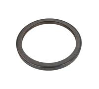 REINZ 81-38651-00 Anillo retén, cigüeñal
