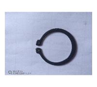 Anillo de seguridad para dispositivo de elevación EVERT ZL204301008