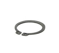Anillo de seguridad para dispositivo de elevación EVERT ZL204301009